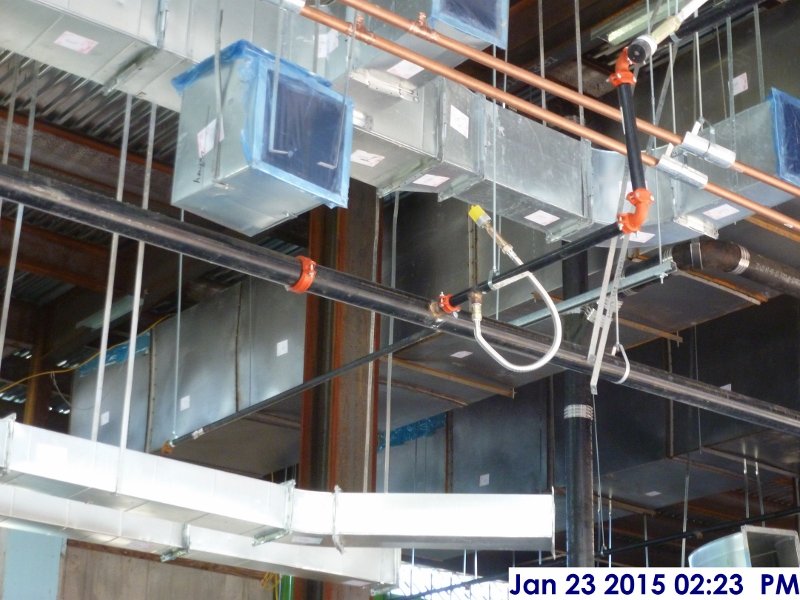 Installing sprinkler branches and heads at the 4th floor Facing North